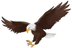 Eaagle Eaagle