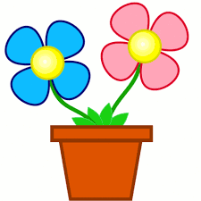 may