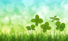 clovers